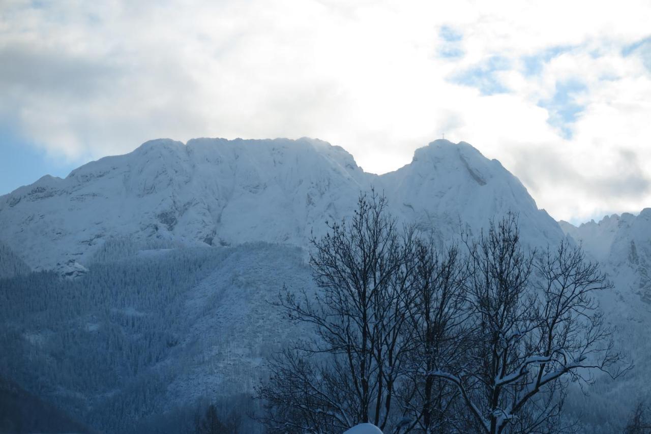 Pensjonat Jastrzebia Turnia Hotel Zakopane Eksteriør billede